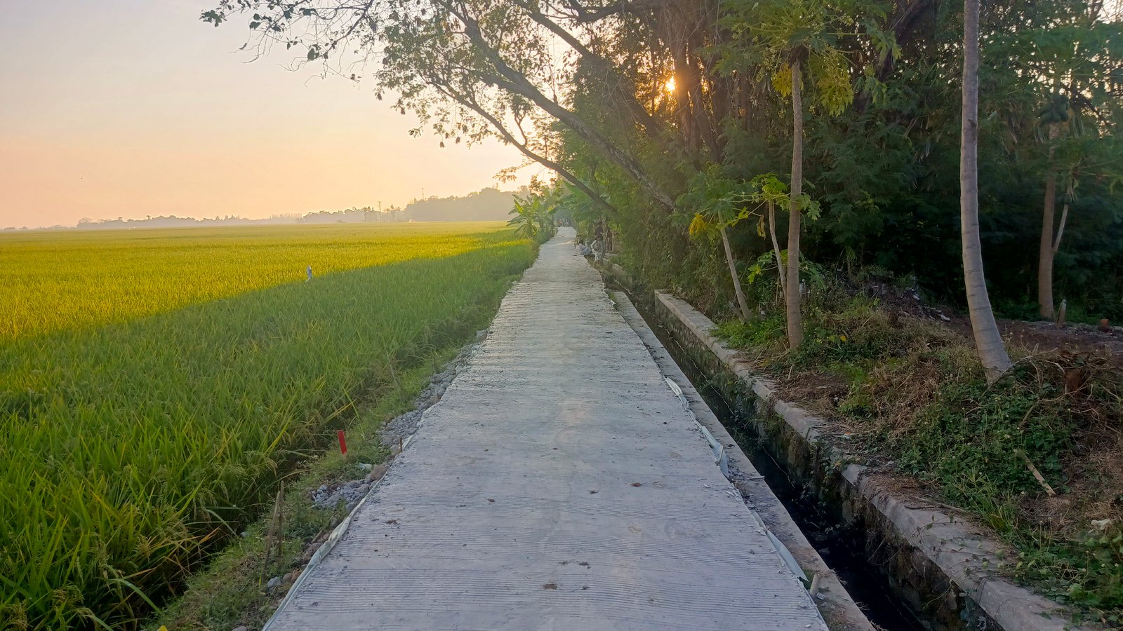 Jasa Konstruksi